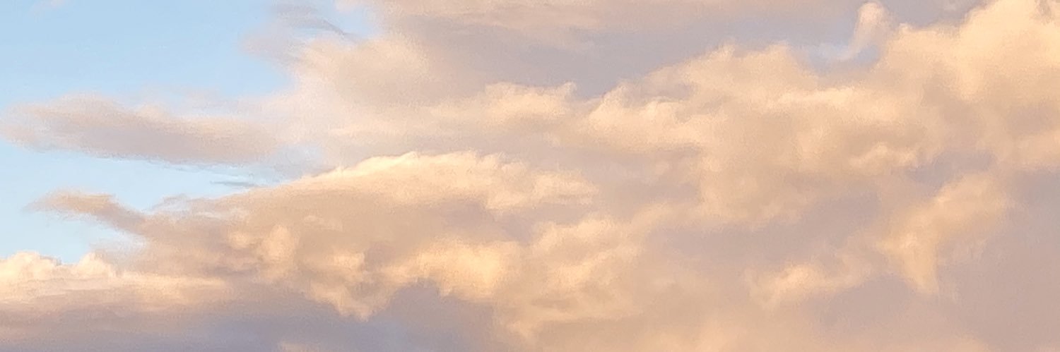 LGolnick's profile banner image