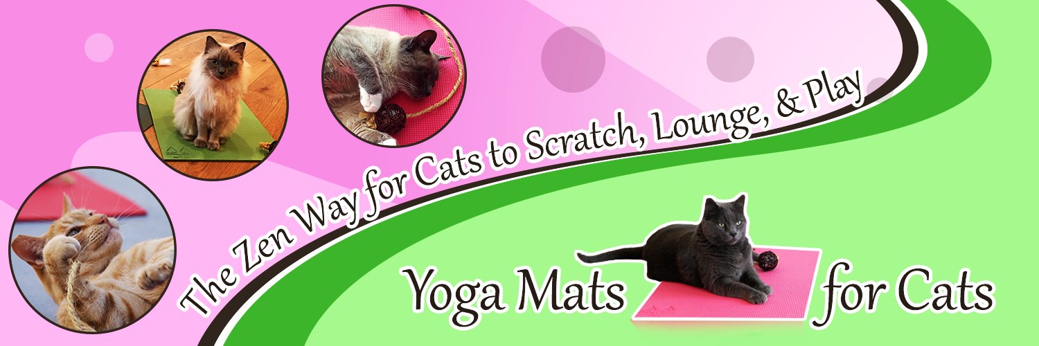 FelineYogi's profile banner image