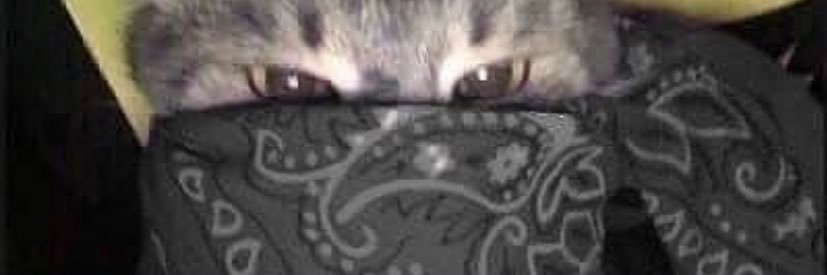 Moddiano's profile banner image
