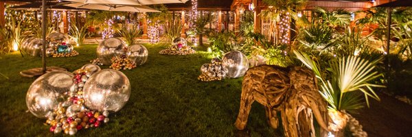 CrazyBearGroup Profile Banner