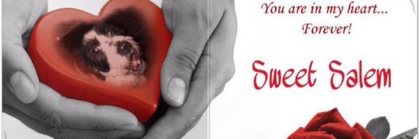 kthreadgold113 Profile Banner