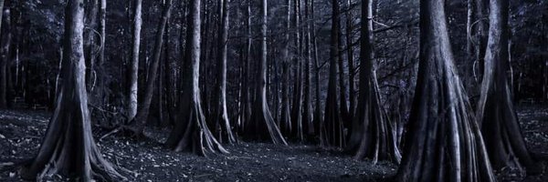 SpreePodcast Profile Banner