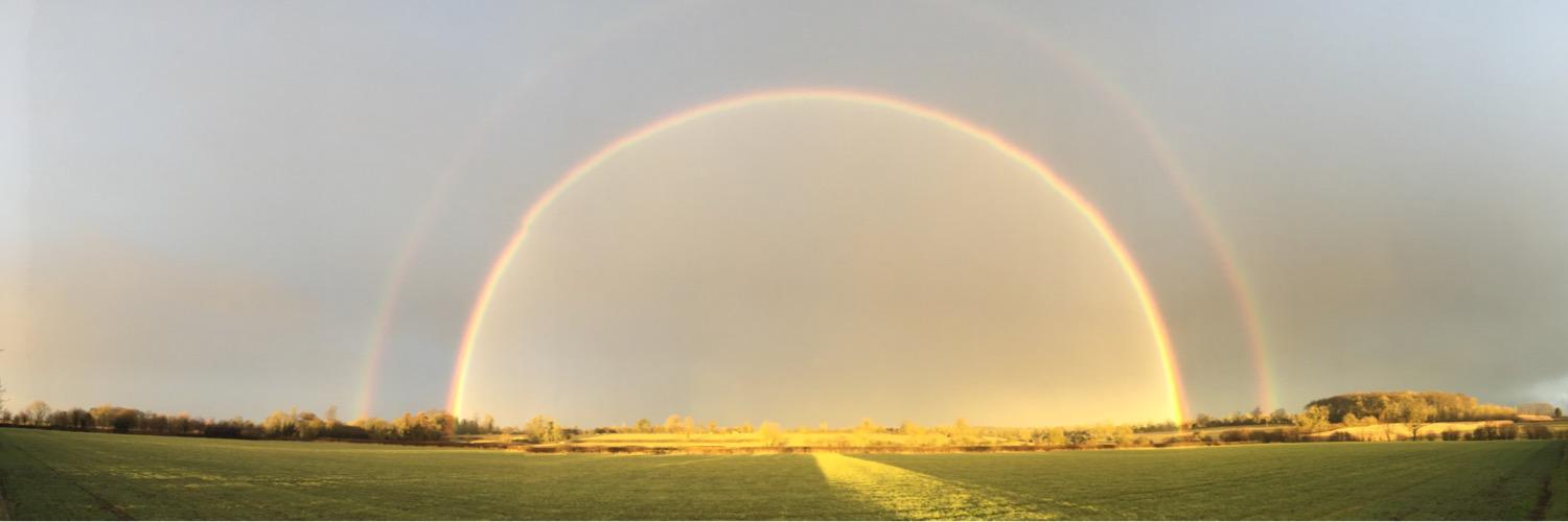 RobertSchrimpff's profile banner image