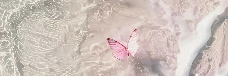 Carolineyou_'s profile banner image