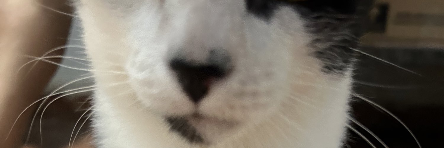 mgabrielapns's profile banner image