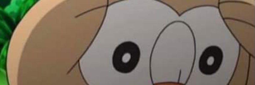 Decombustion_'s profile banner image