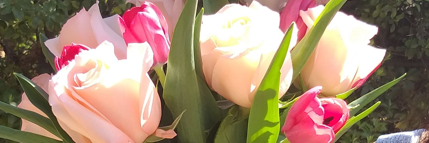 MabelMorenoB's profile banner image