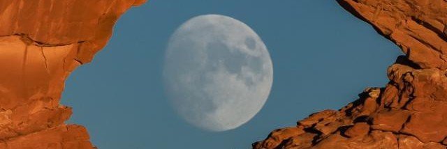 shaggysuo's profile banner image