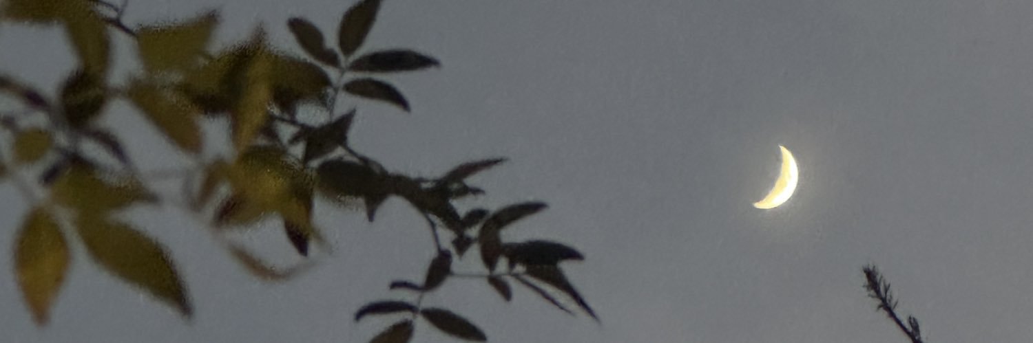 shirro0618's profile banner image