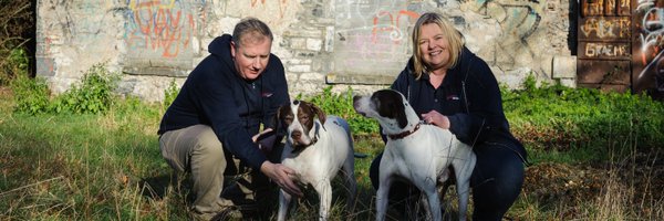 Pet Sitters Ireland - Pet Sitting & Dog Walking Profile Banner
