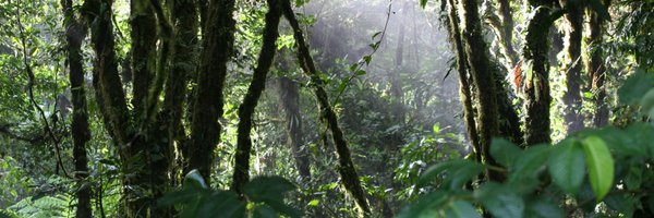 JaapvSchaik Profile Banner