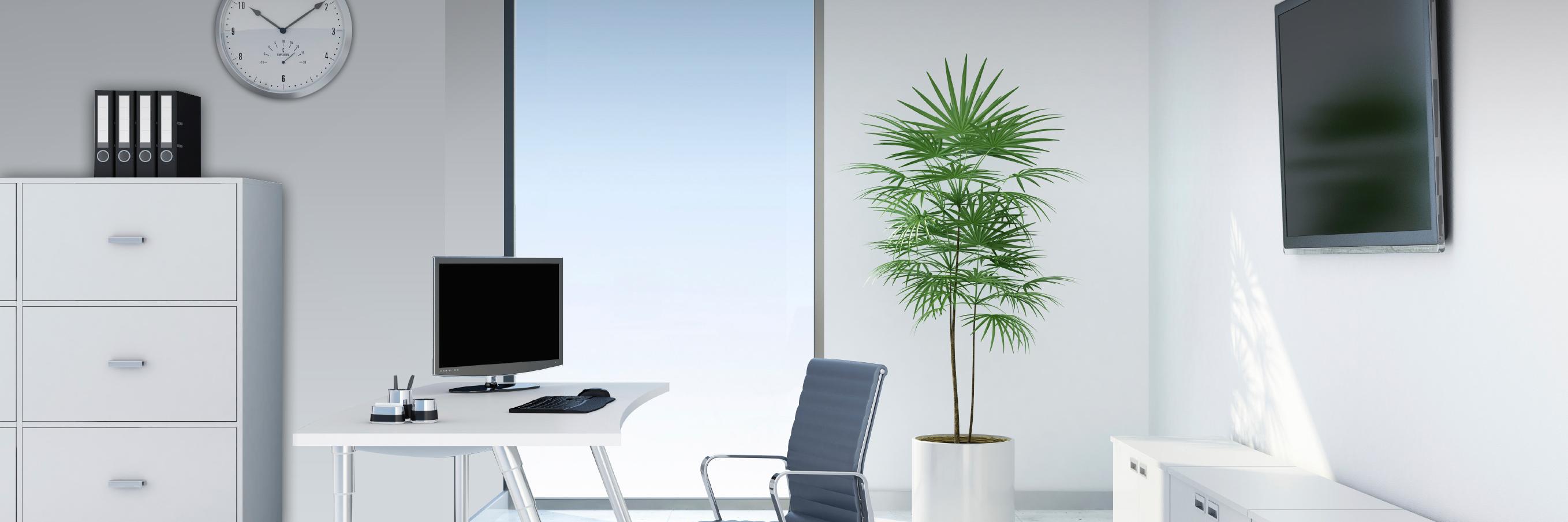 Piotr_Ch's profile banner image