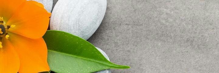 Pamelapam28's profile banner image