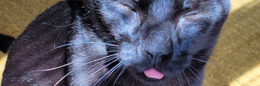 heyy_its_mac's profile banner image
