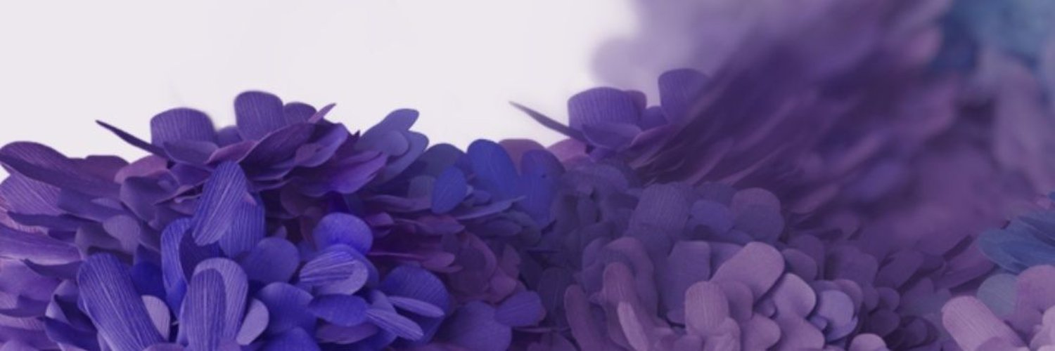 augustuskit's profile banner image