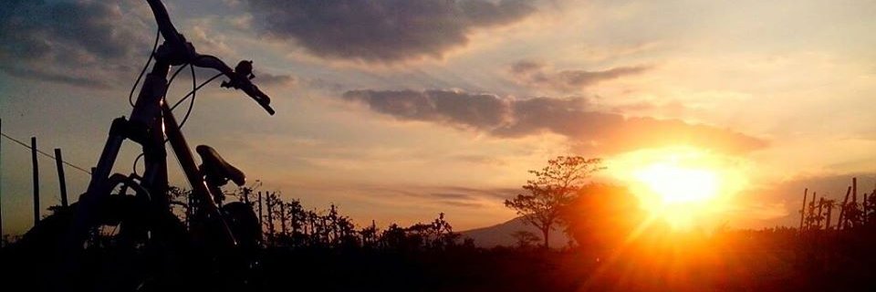 mftchr's profile banner image