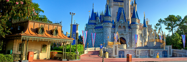 Disney Park Fans banner