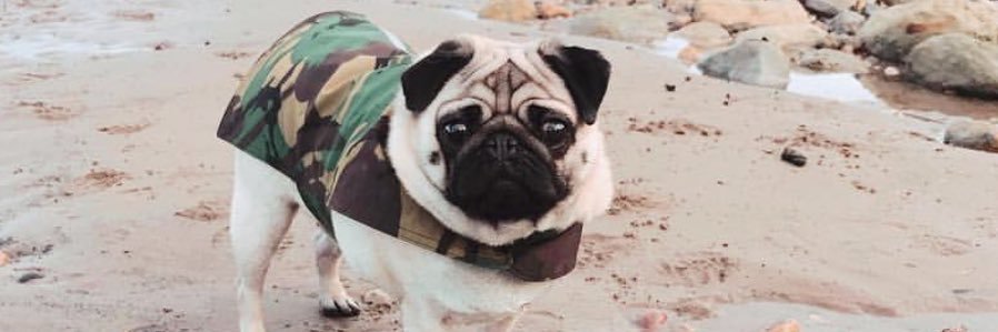 jamxox's profile banner image