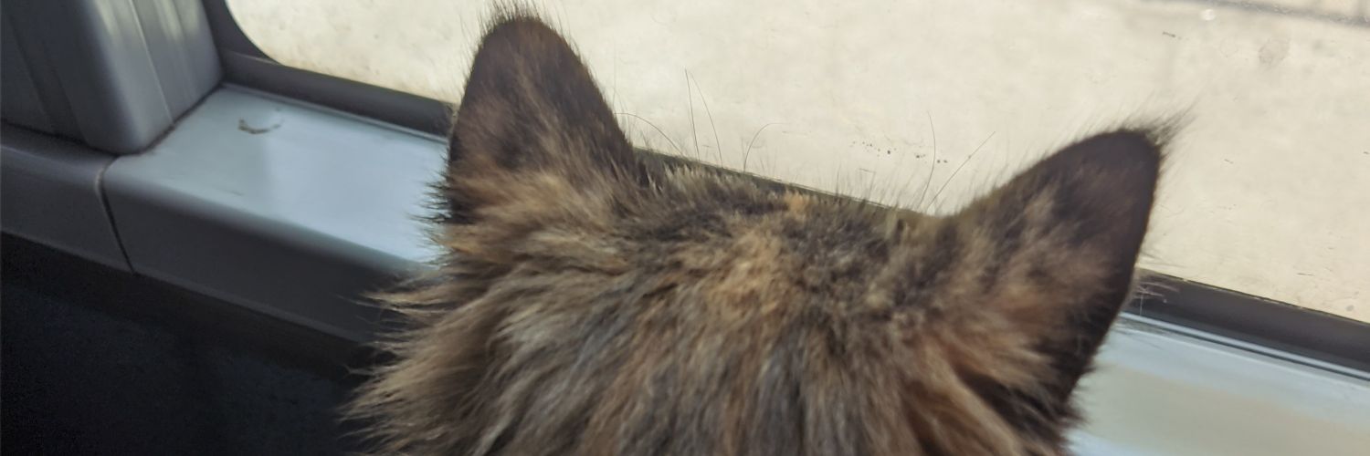oksyjdc's profile banner image
