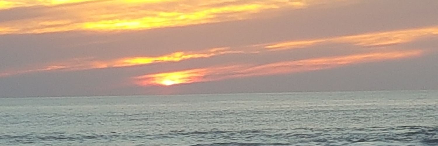 Tony Segalés banner