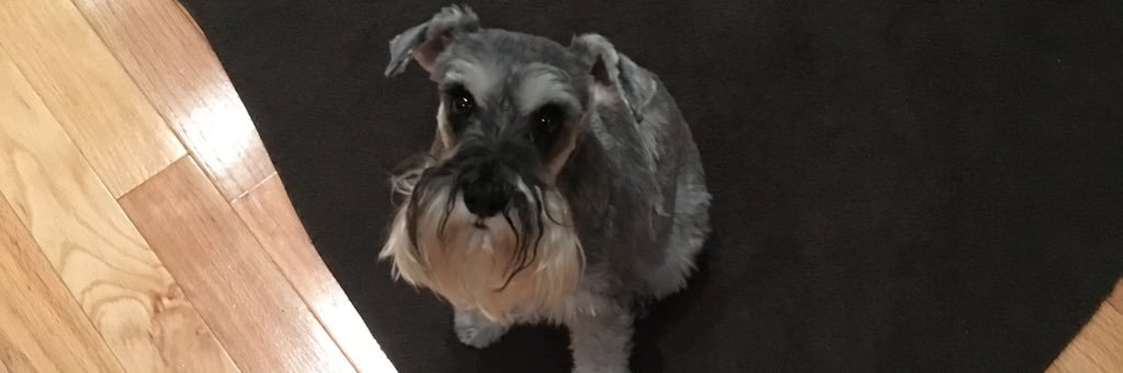 tlewis_02's profile banner image
