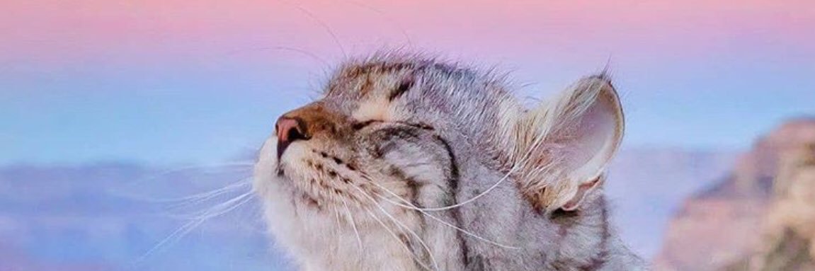 Amijustmb's profile banner image