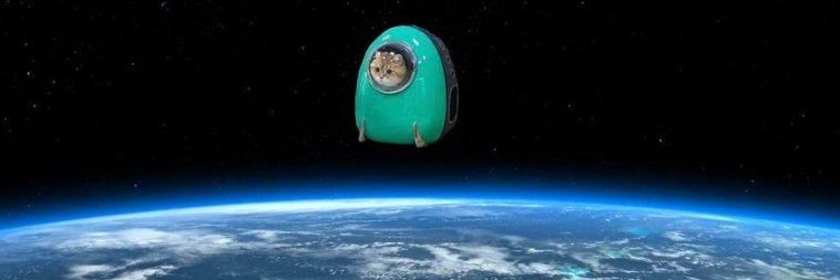 seaysipk's profile banner image