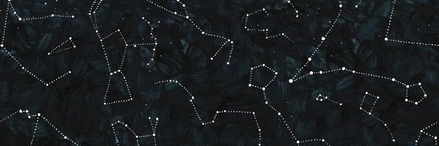 feathabird's profile banner image