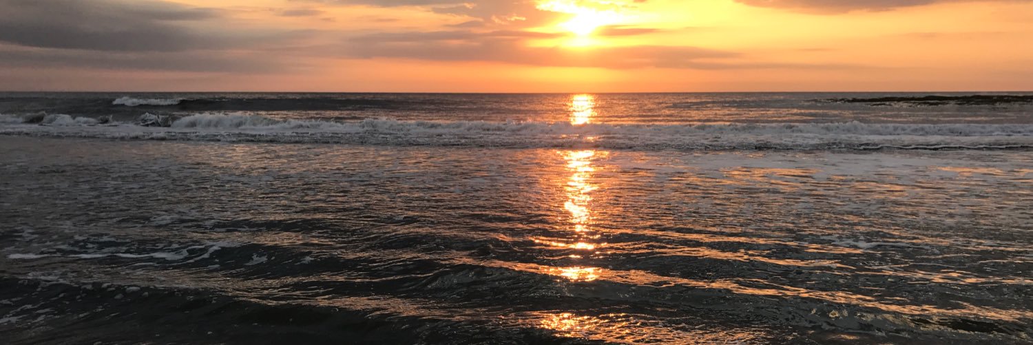 SeanMarchbanks's profile banner image
