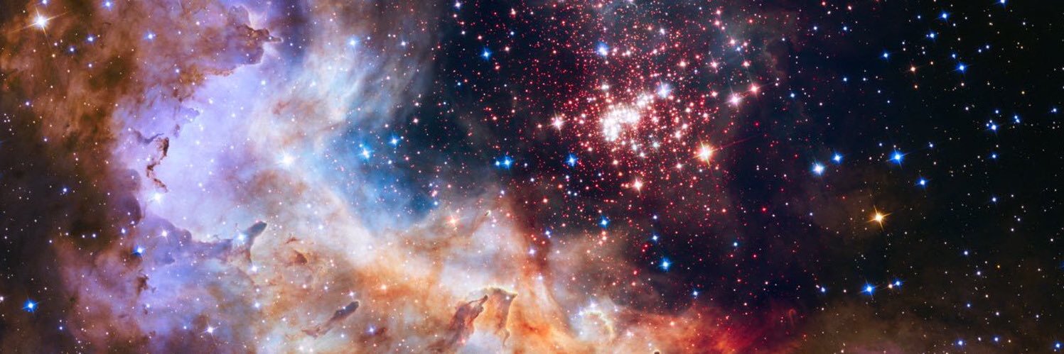 will mcfillin banner