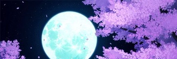 Sakura Moon Profile Banner