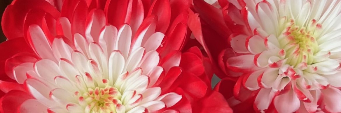 varshieee_'s profile banner image