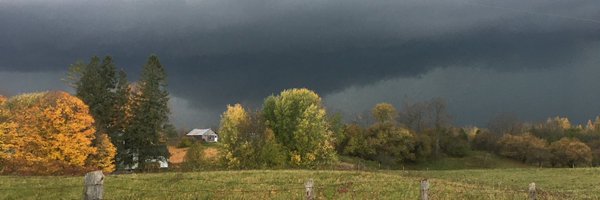 lynnchidwick Profile Banner