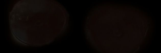 Web3xnxx's profile banner image
