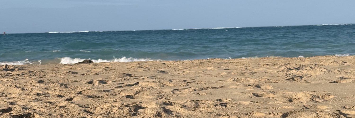 JasonLDomenech's profile banner image