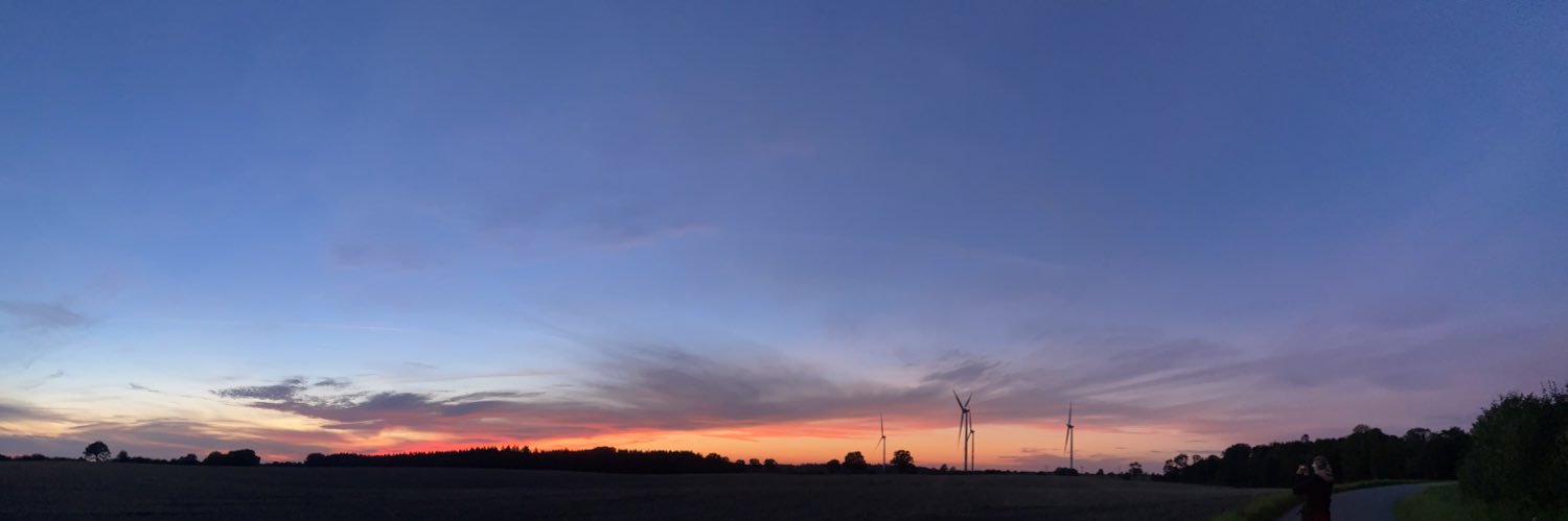 Drawlimon 💙 banner