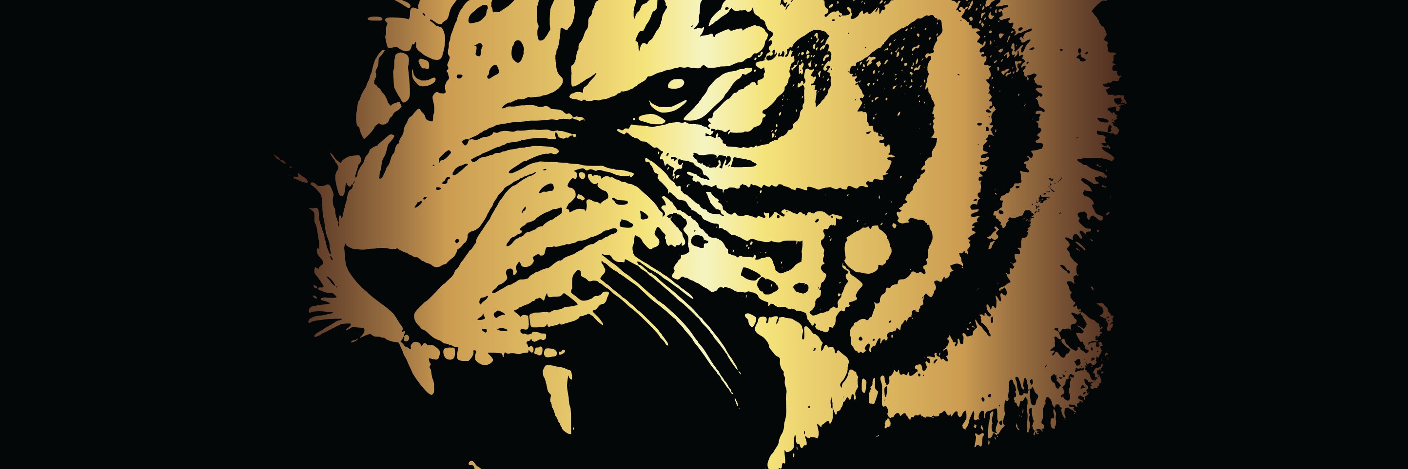 chhsabc's profile banner image