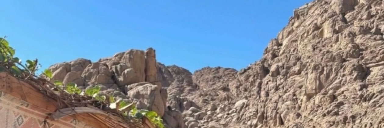 bowalehqr's profile banner image