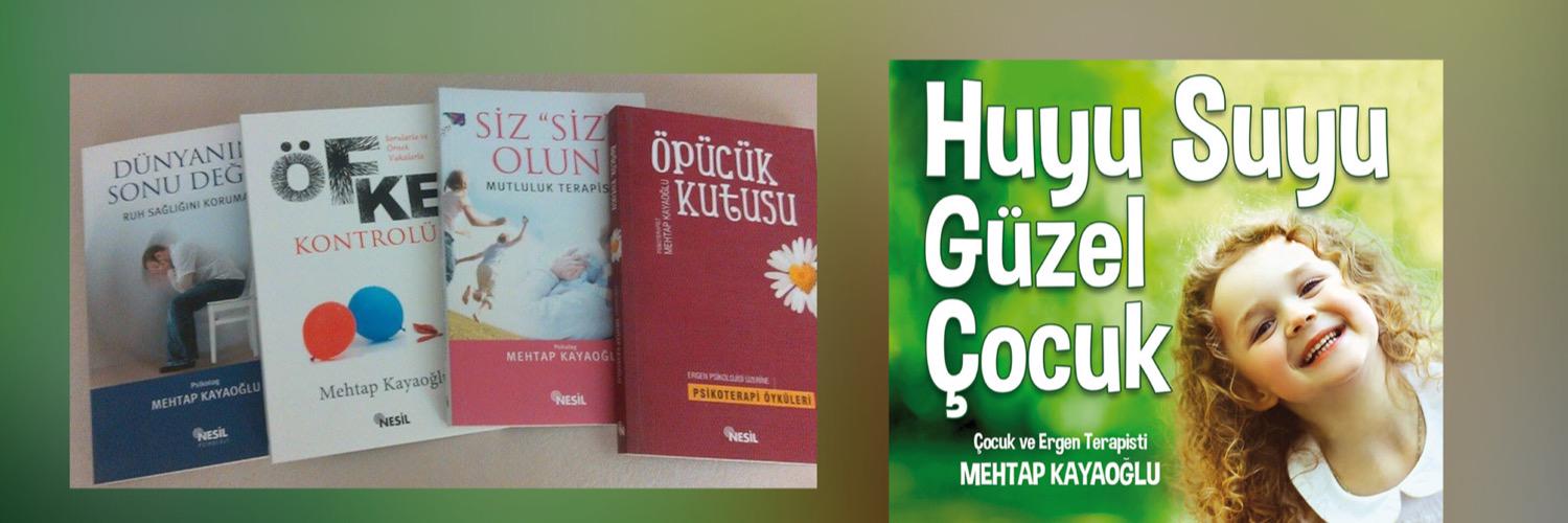 mehtapkayaoglu's profile banner image