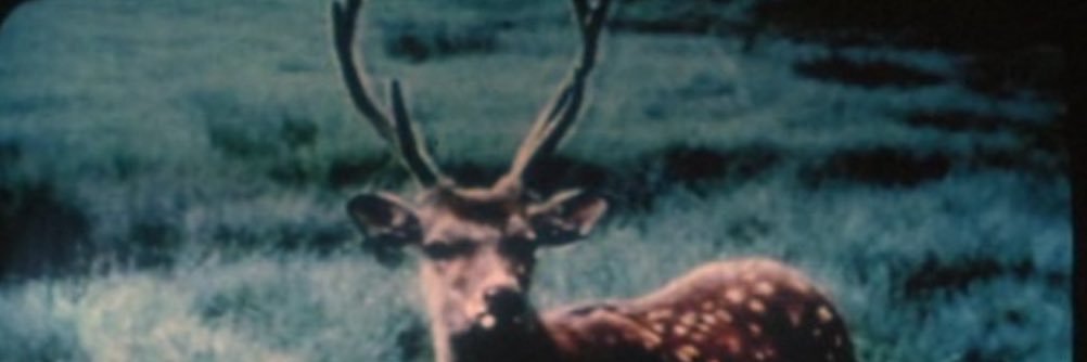 varnishhh's profile banner image