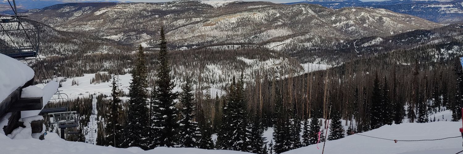 TaylorWillisms1's profile banner image