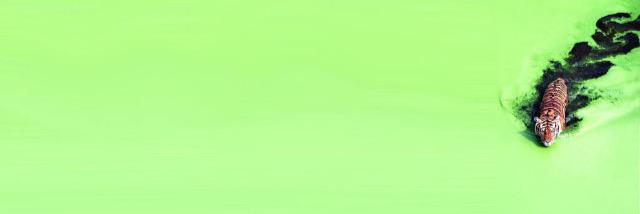 mphint24's profile banner image