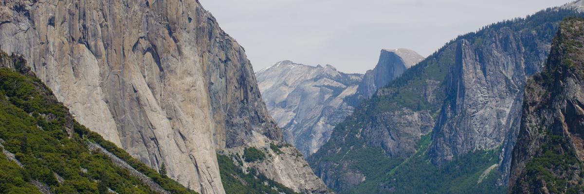dodopat's profile banner image