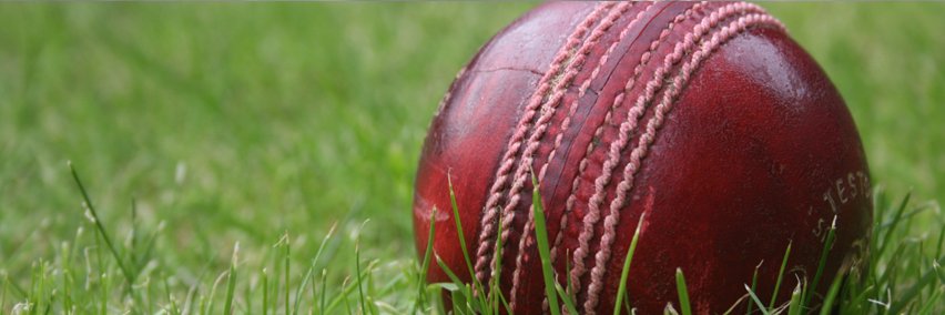 Liverpool Business Houses Cricket League banner