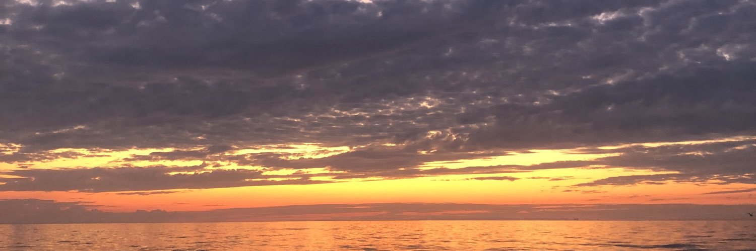 rsenek23's profile banner image