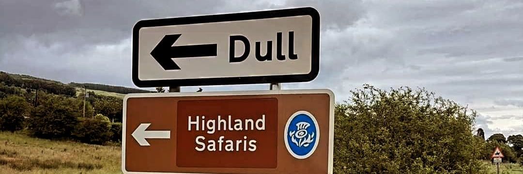 siobhan_molloy. banner