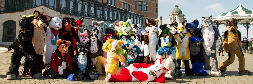 Quebec_Furmeet banner