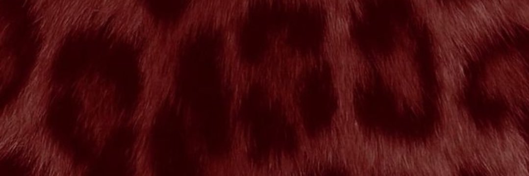 capriibby's profile banner image