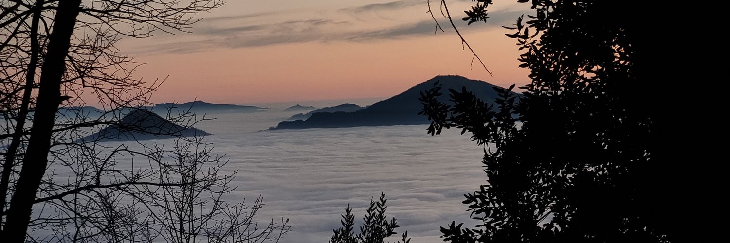 sebaoteiza's profile banner image