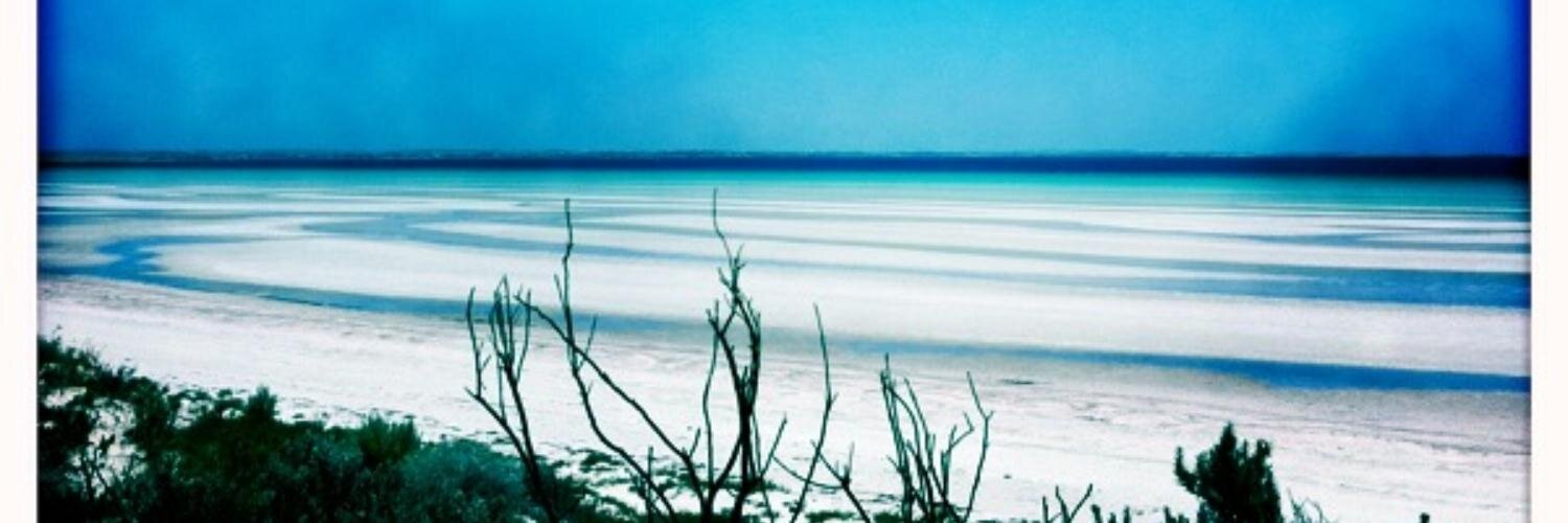ElissaDoherty's profile banner image